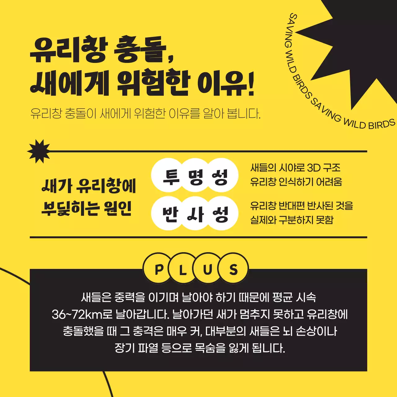 검정색과 노란색의 심플한 야생 조류 구하기