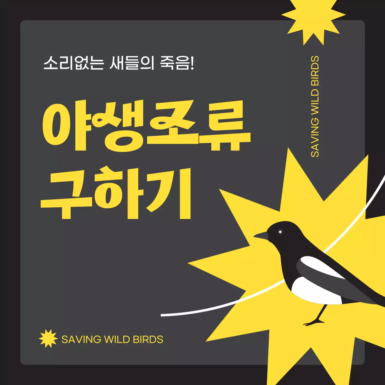 검정색과 노란색의 심플한 야생 조류 구하기