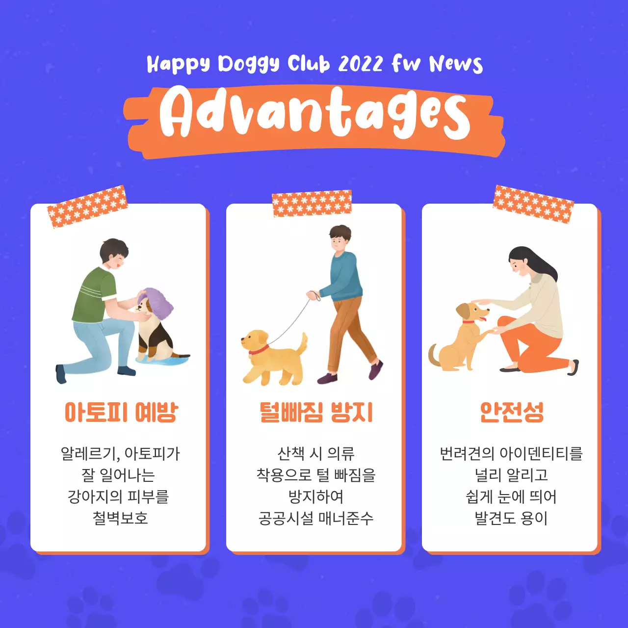 주황색과 파랑의 팝한 애견 의류 홍보