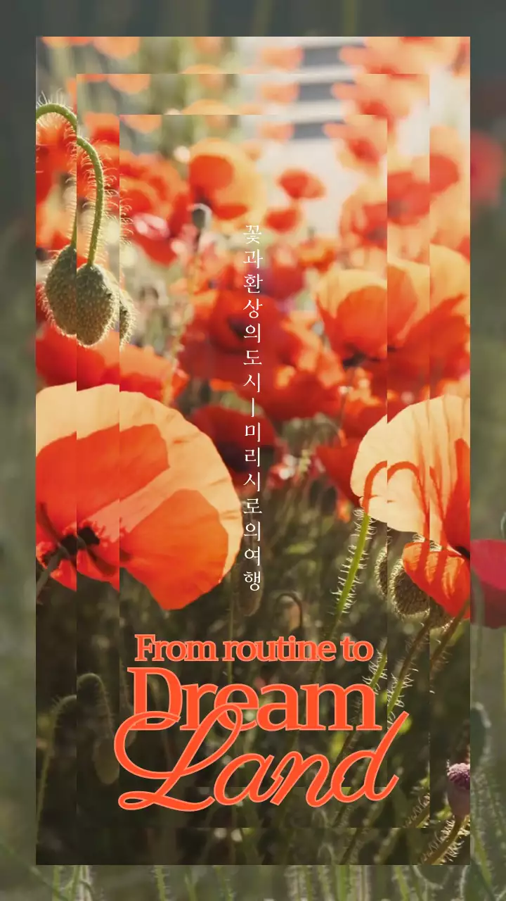 빨강과 초록색의 모던한 꽃과 도시 여행 게시글