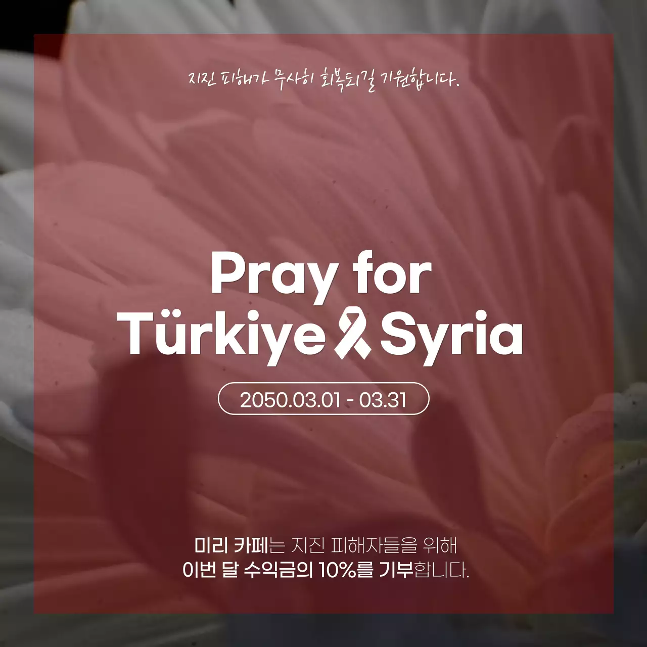 회색과 빨간색의 국화 사진의 추모