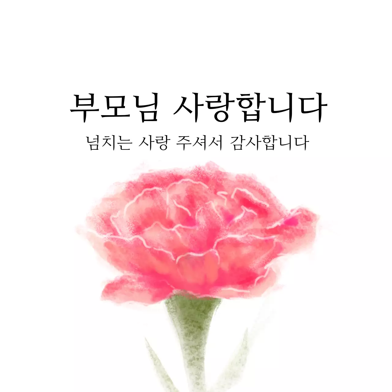 분홍색 카네이션의 어버이날 감사 인사