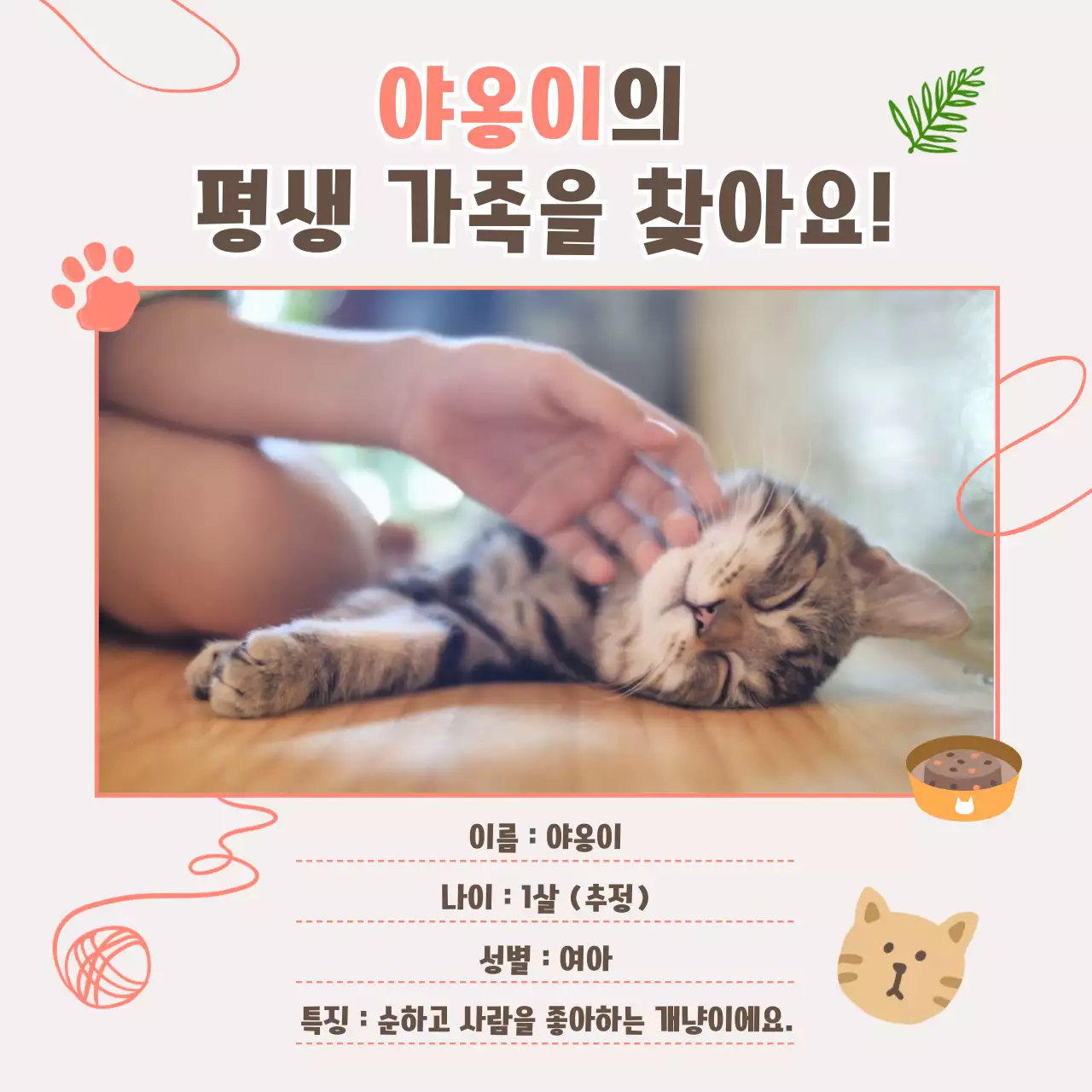 핑크색의 실타래 컨셉 고양이 입양 공지 홍보