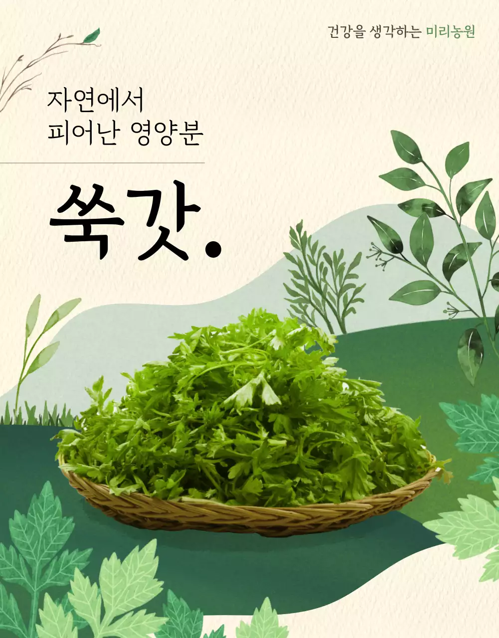초록색과 베이지 배경의 수채화 일러스트가 있는 쑥갓 상세페이지