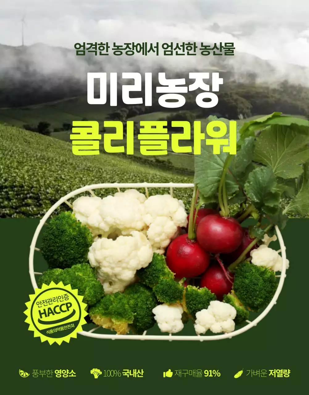 노란색 초록색의 심플한 자연 느낌의 콜리플라워