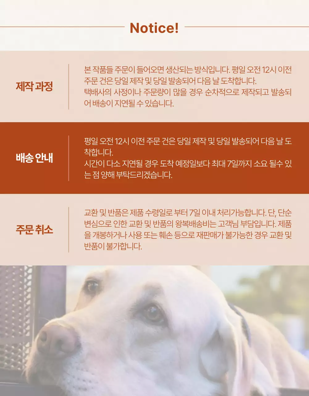 아이디어스_애견