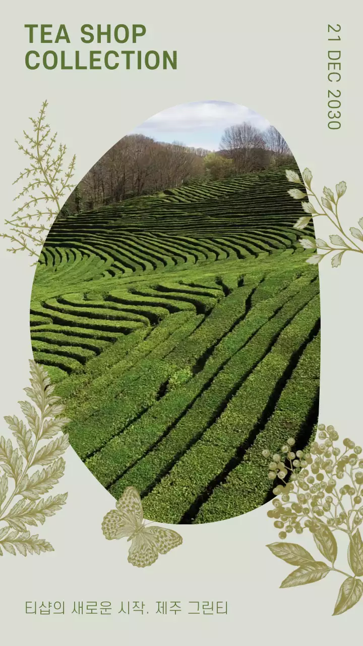 초록색의 차분한 느낌의 카페 신메뉴 홍보 내용