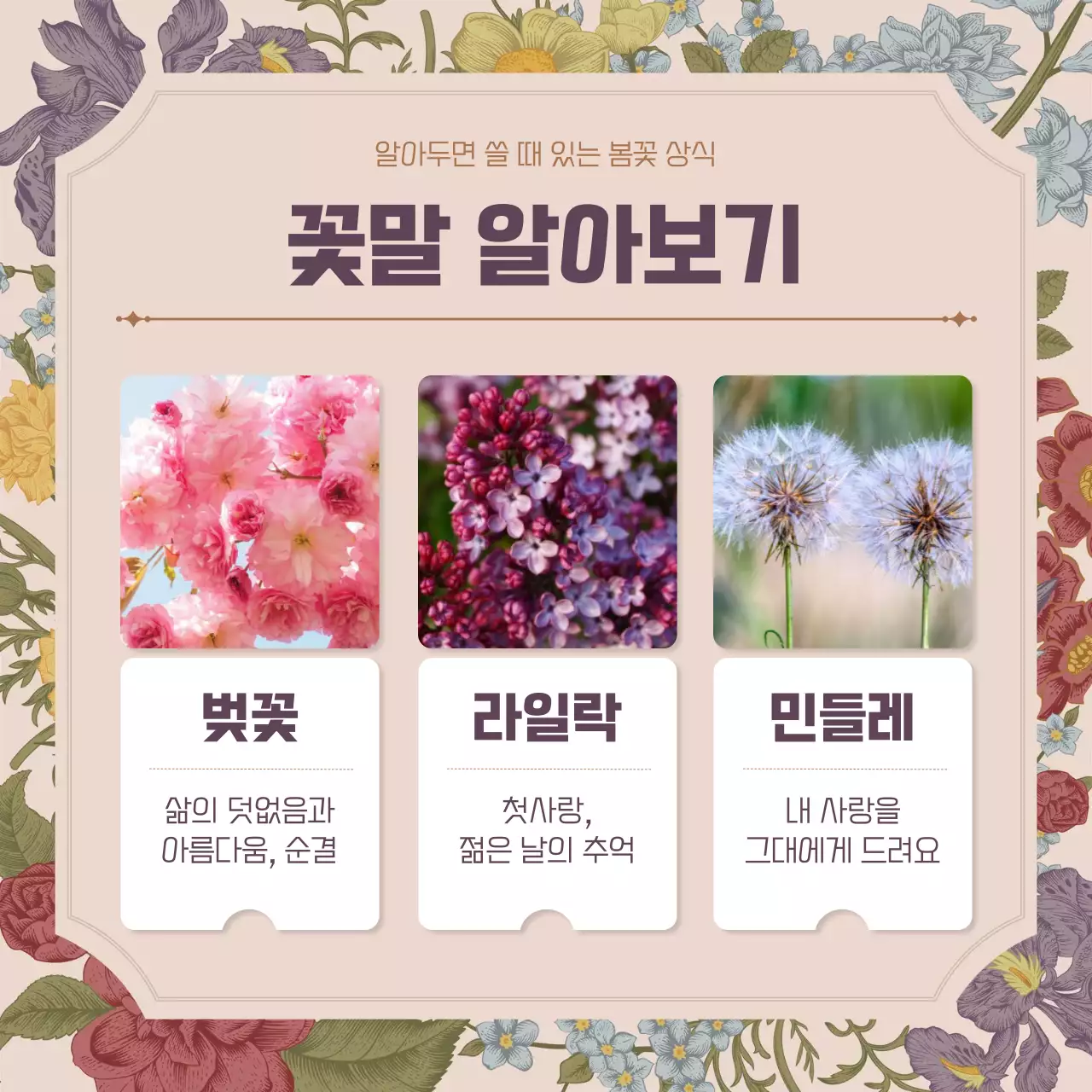 핑크 빈티지 꽃가득 컨셉의 봄꽃 상식