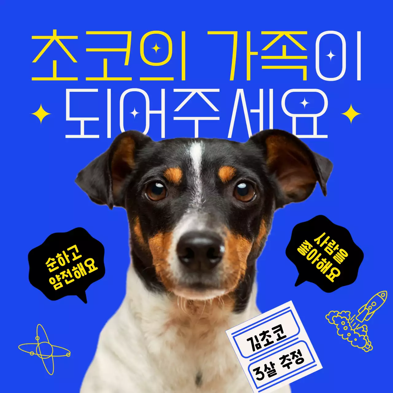 파란색 강아지 입양 홍보