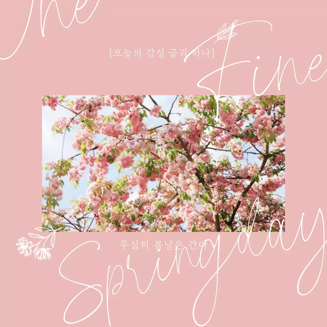 핑크색 배경에 감성적인 손글씨 느낌의 벚꽃 동영상