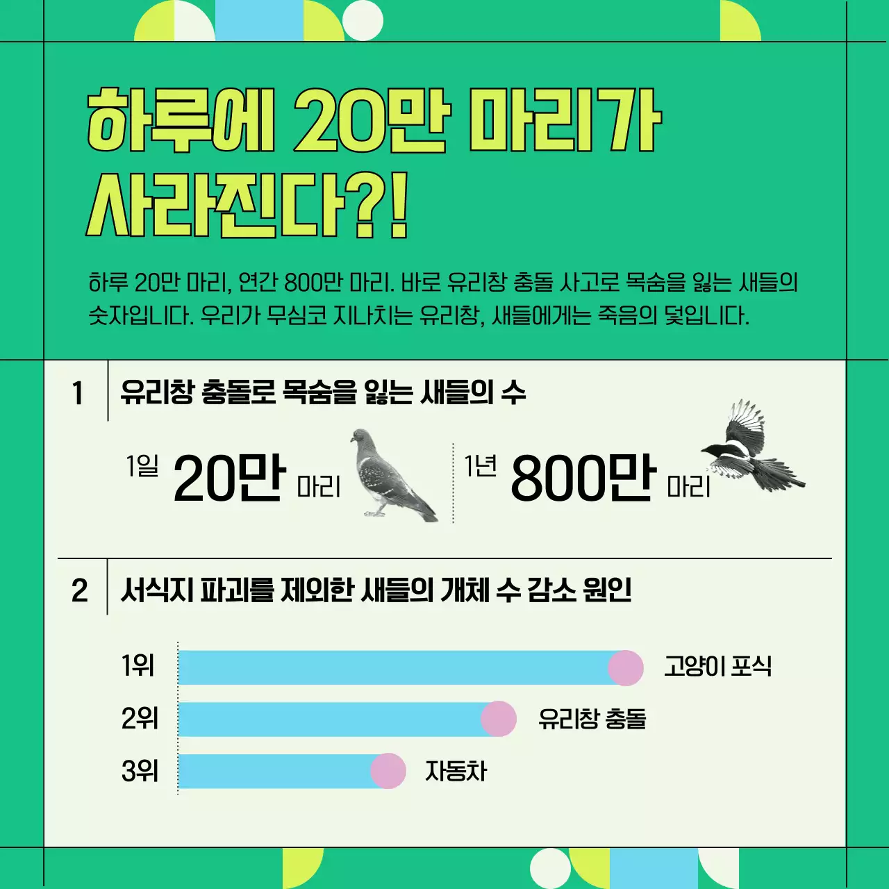 초록색과 기하학적인 야생조류 유리창 충돌 방지 정보 제공 (카드뉴스)