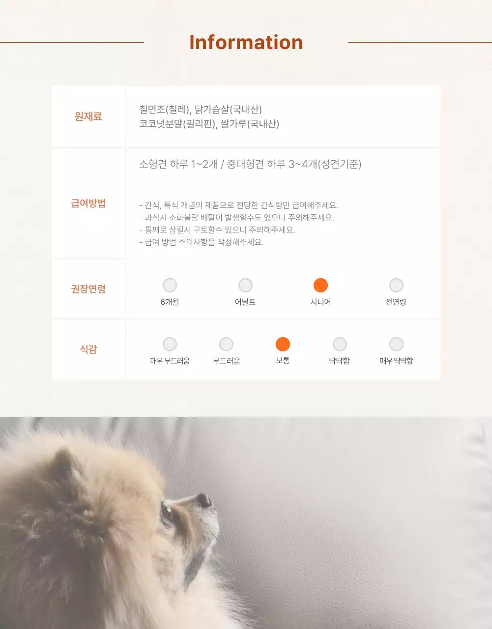 아이디어스_애견