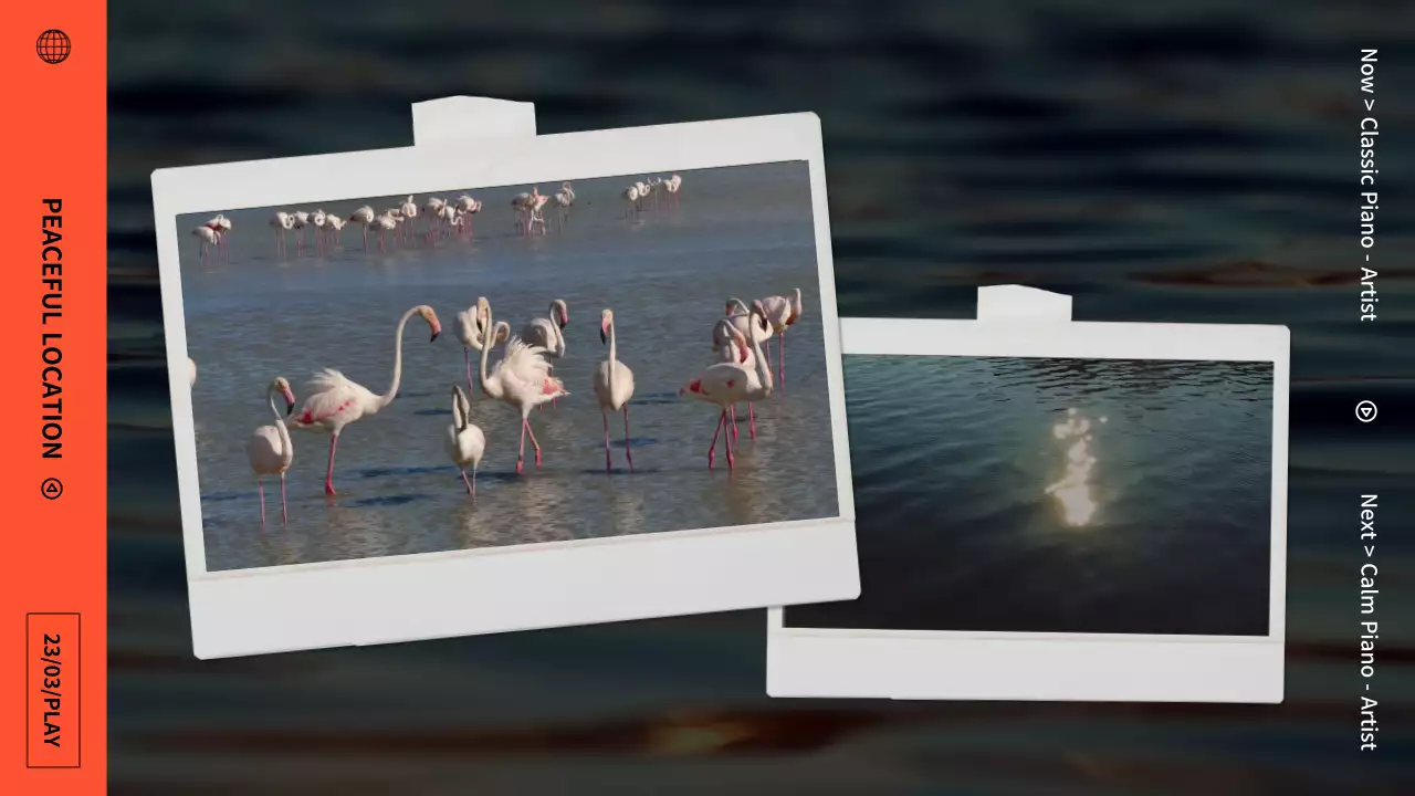 주황색과 검정색의 감성적인 클래식 폴라로이드 플레이리스트