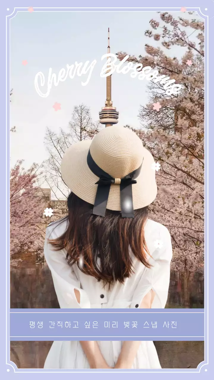 베이지색과 보라색의 벚꽃 스냅 사진 홍보