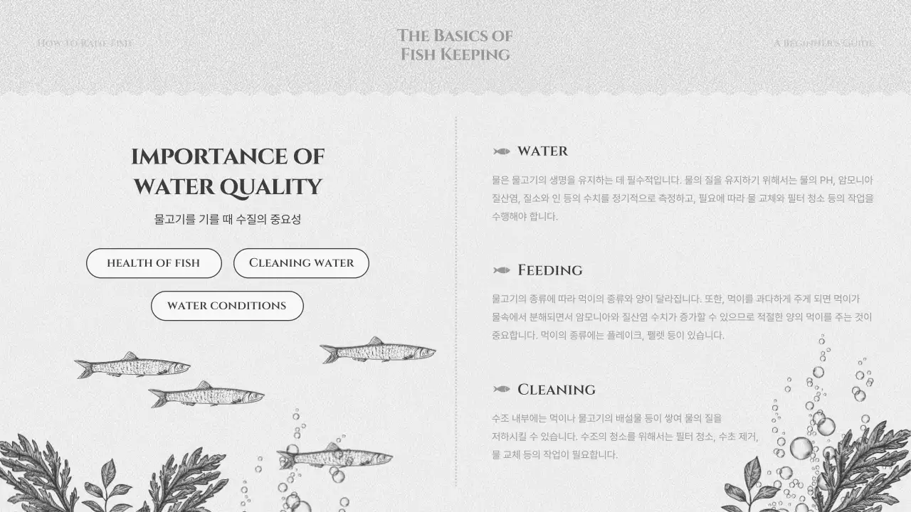 검정색과 회색의 물고기 기르기 교육