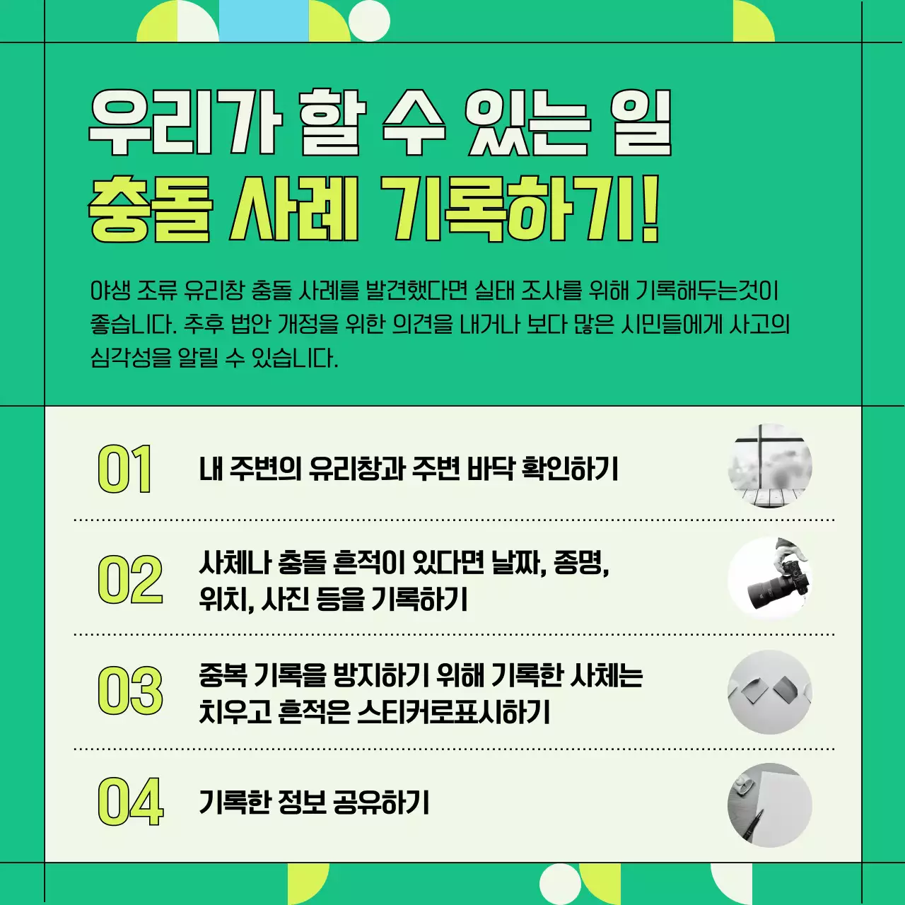 초록색과 기하학적인 야생조류 유리창 충돌 방지 정보 제공 (카드뉴스)