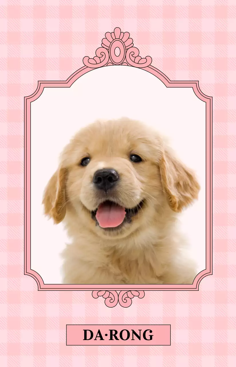 아기자기한 색상의 반려동물 사진을 넣은 직사각형의 고급스러운 앤틱 프레임