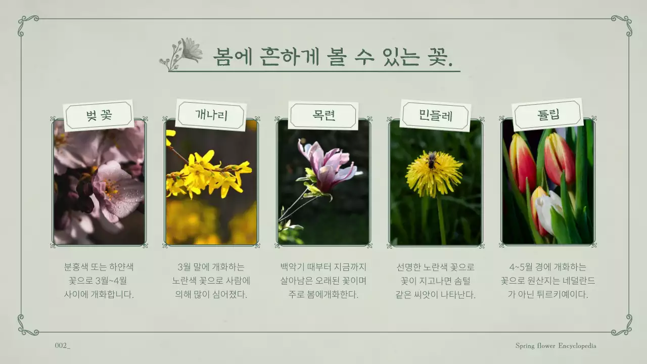 민트 배경의 꽃이 가득한 봄꽃 교양 테마