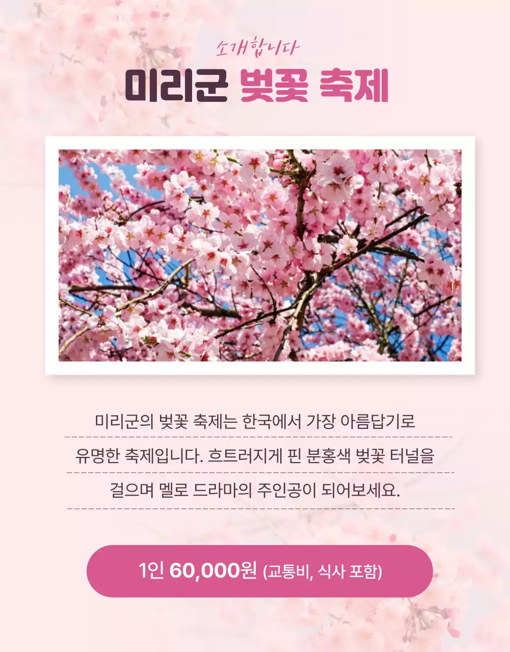 파스텔 핑크 컬러의 아기자기한 벚꽃 일러스트 여행 홍보