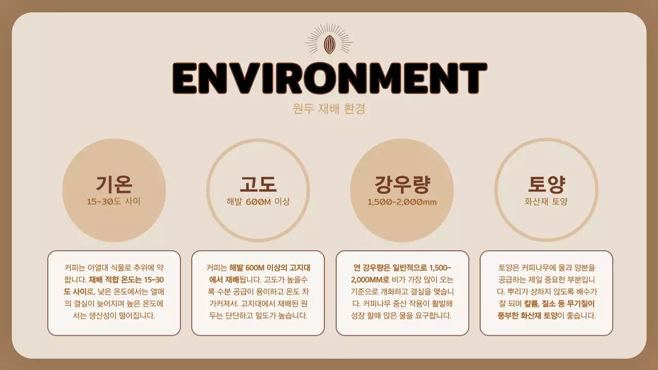 베이지색 커피 교육 따뜻한 프레젠테이션 