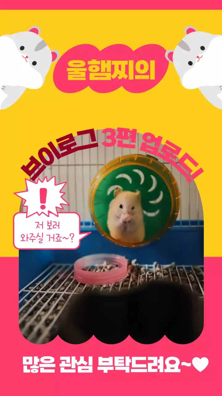 노랑 핑크 햄스터 귀여운 브이로그 홍보