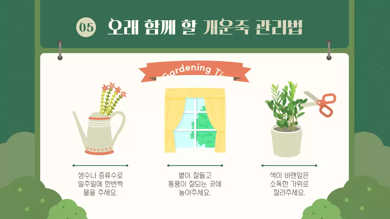 초록 스케치북 컨셉의 화분키우기