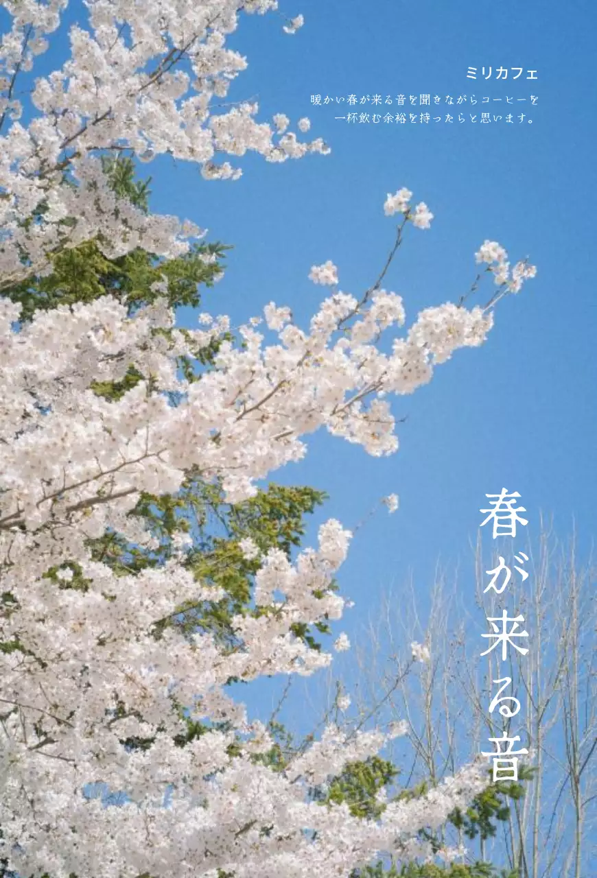 일본 감성의 벚꽃 봄 컨셉 굿즈 디자인