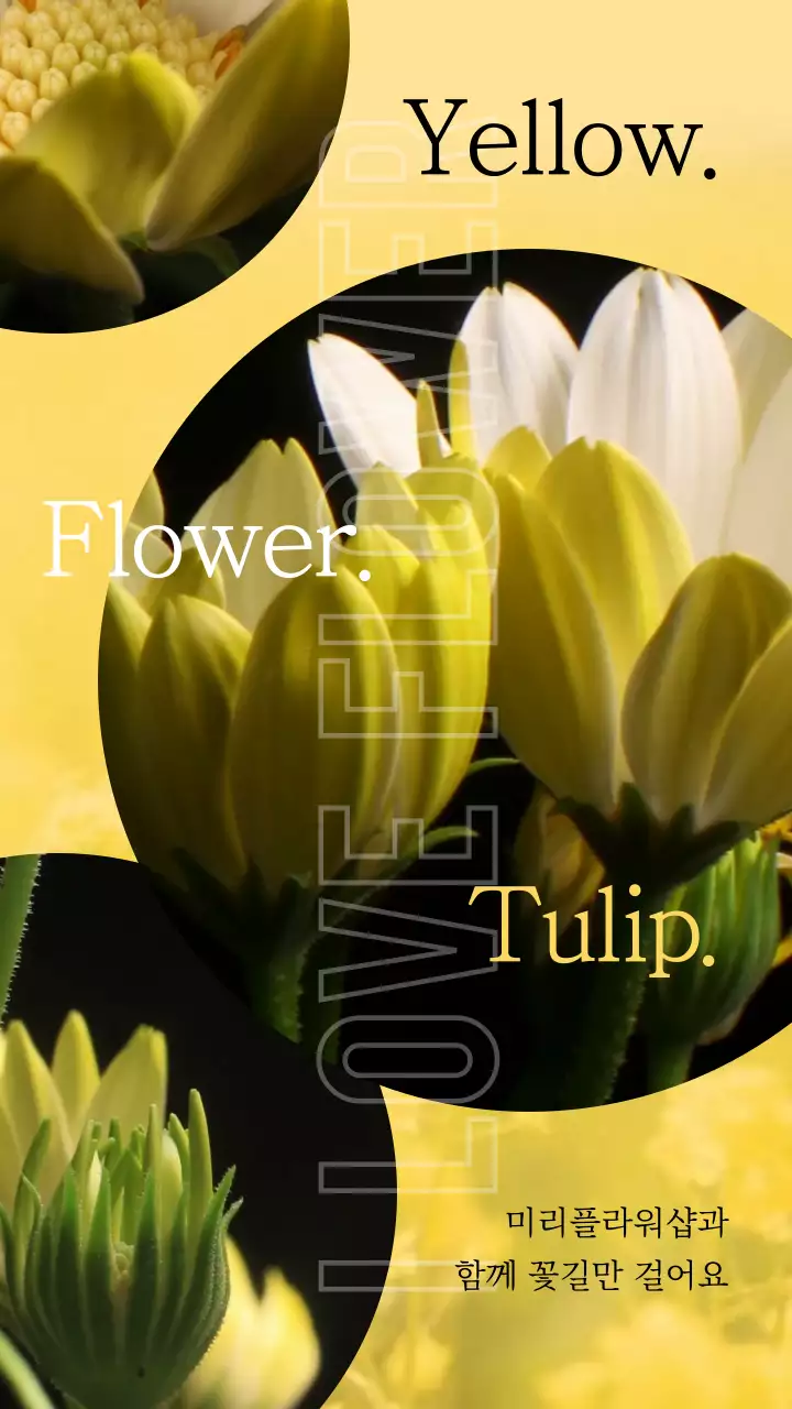 노란색 꽃으로 포인트를 준 모던한 꽃집 홍보