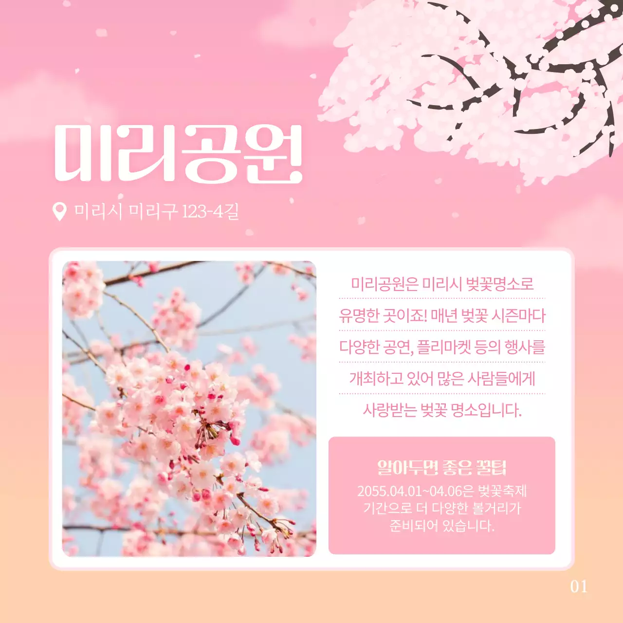 핑크색의 화사한 벚꽃 추천 명소