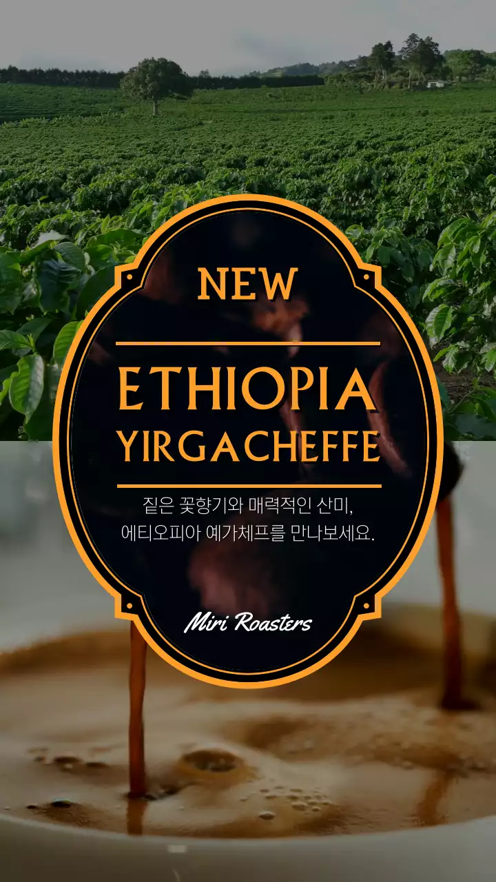 화면 분할 레이아웃 카페 새로운 원두 출시 안내 