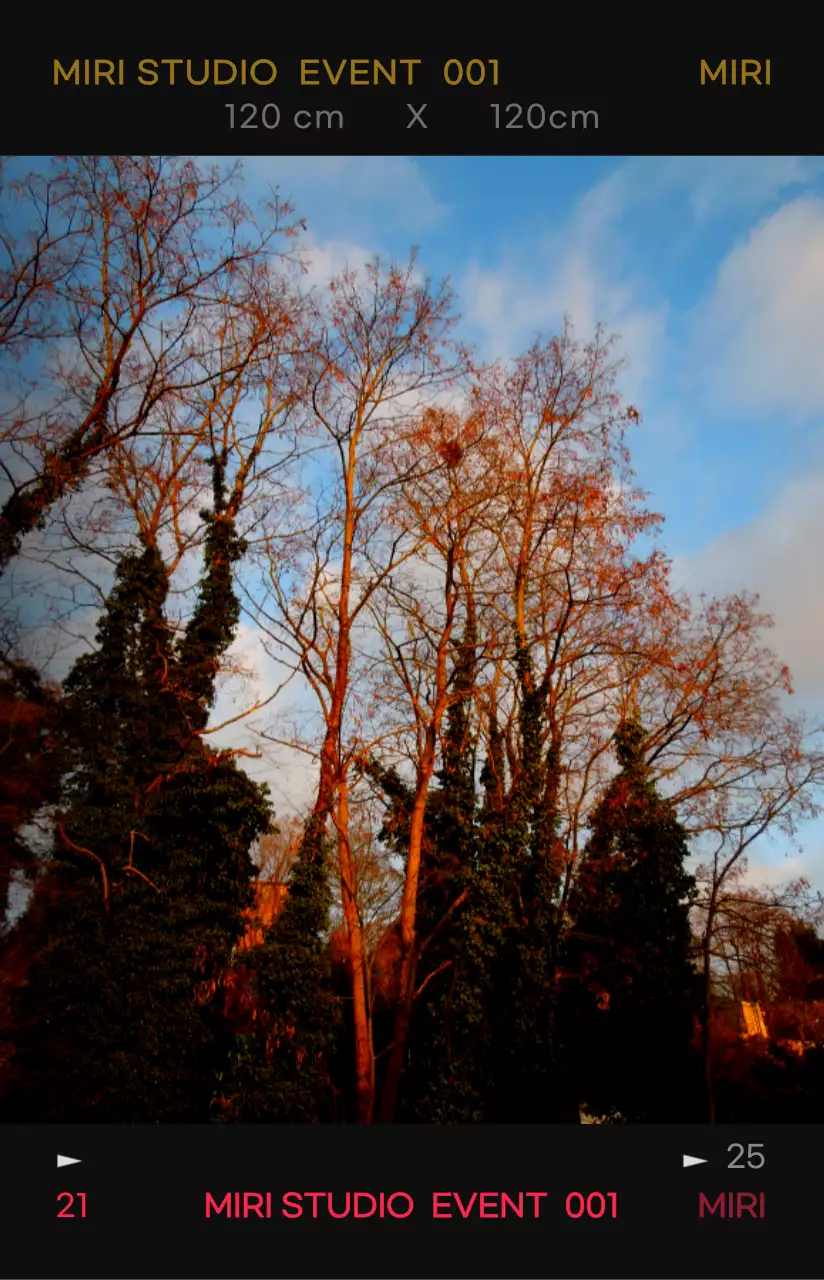 대비가 강한 컬러감의 감성적이고 힙한 사진 필름 프레임 컨셉 개인 굿즈용 