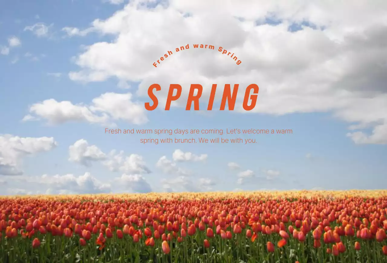 봄 꽃 컨셉의 따뜻한 감성 디자인