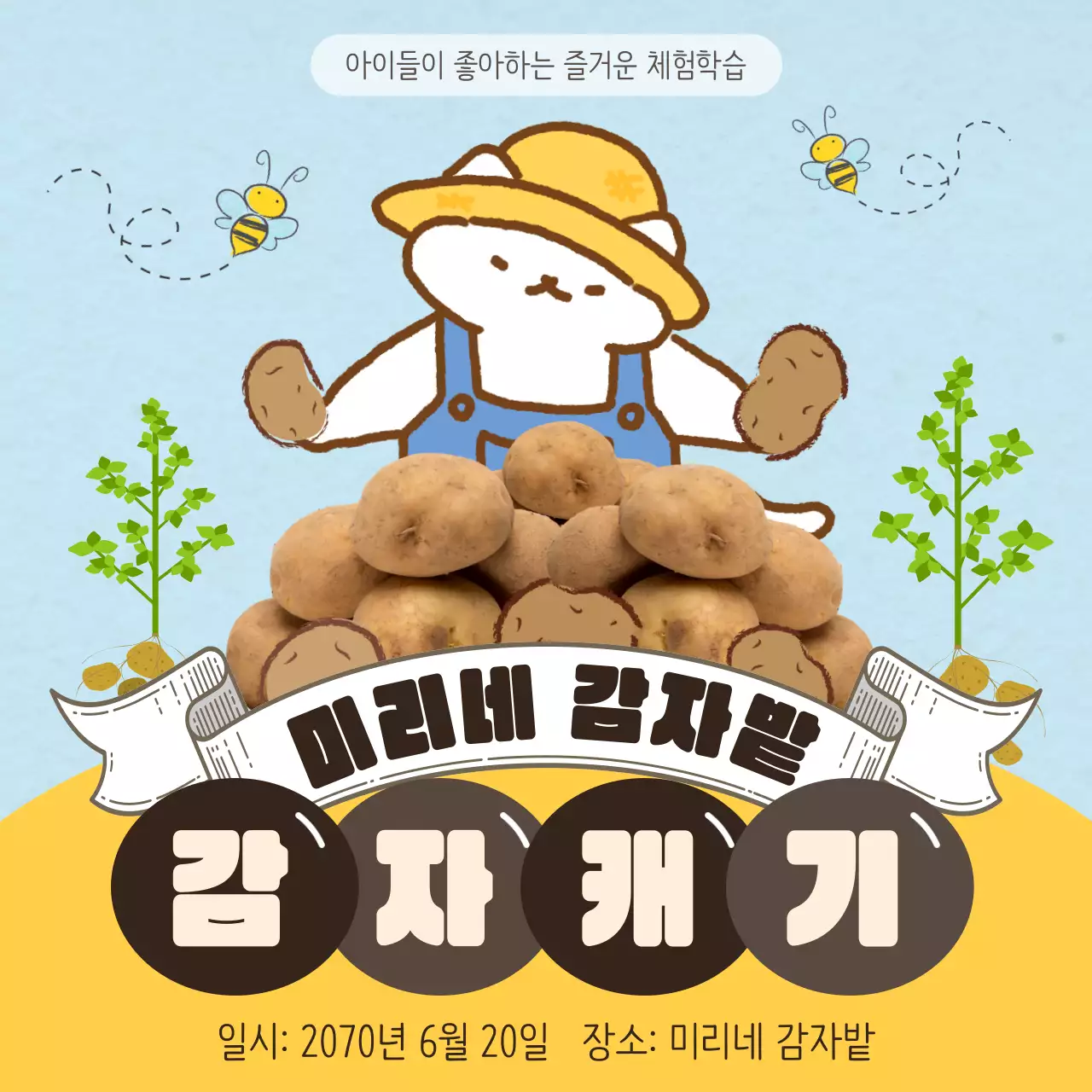 노란색 하늘색 귀여운 고양이 농부 감자 캐키 체험