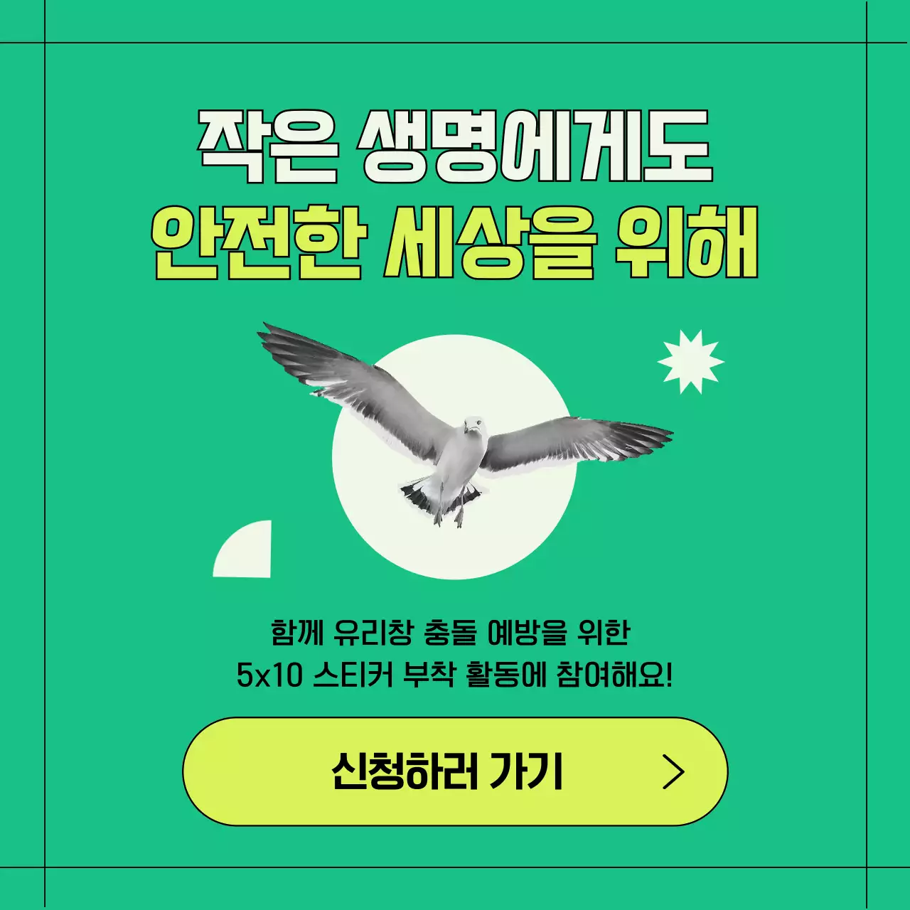 초록색과 기하학적인 야생조류 유리창 충돌 방지 정보 제공 (카드뉴스)