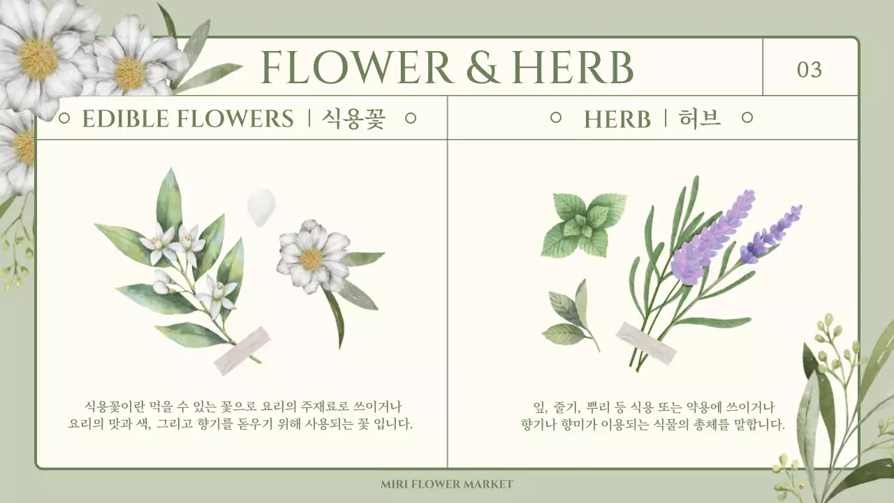 초록색의 감성적인 수채화 일러스트 테마의 식용꽃과 허브 상식