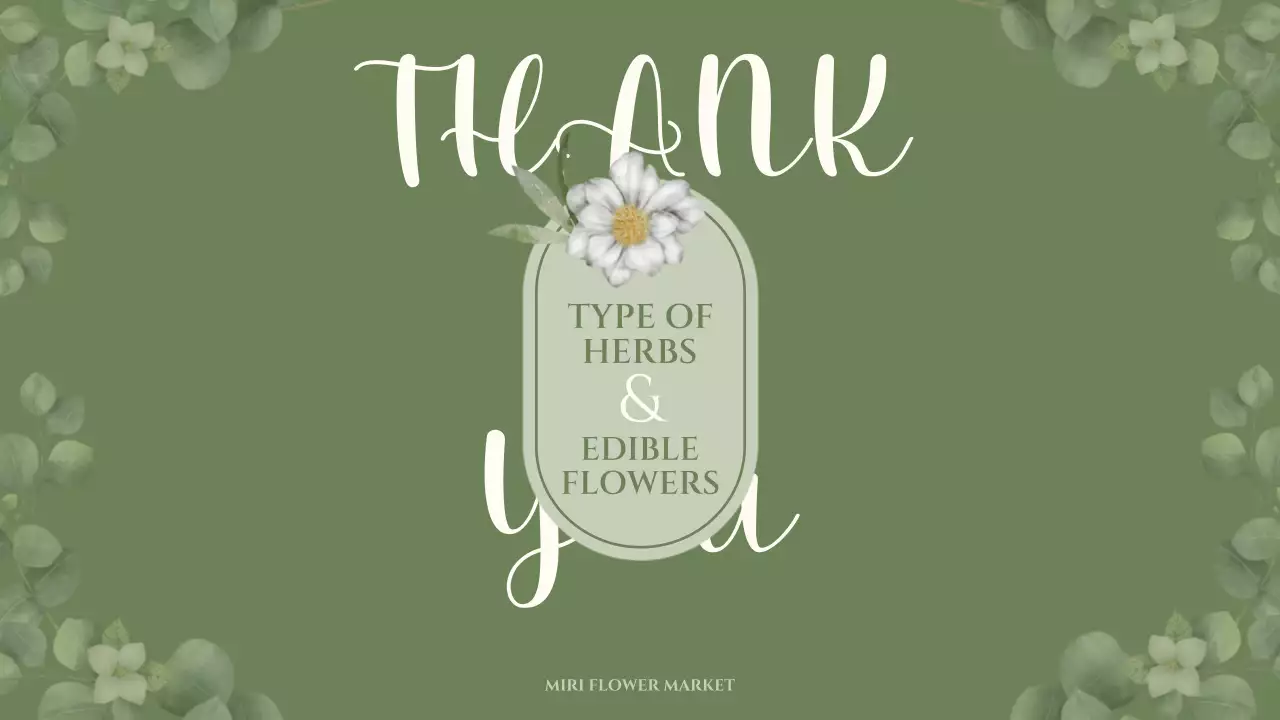 초록색의 감성적인 수채화 일러스트 테마의 식용꽃과 허브 상식