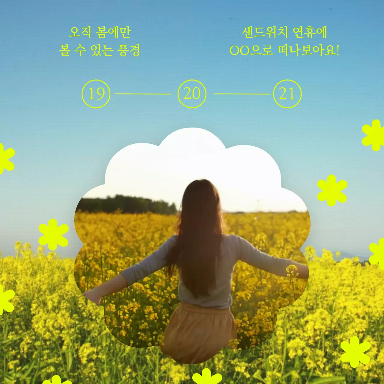 꽃배경의 네온컬러가 사용된 깔끔하고 심플한 꽃놀이 여행 추천