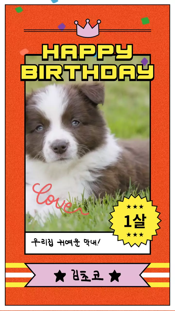 주황색에 노란색과 핑크색 포인트를 준 반려동물 생일축하카드