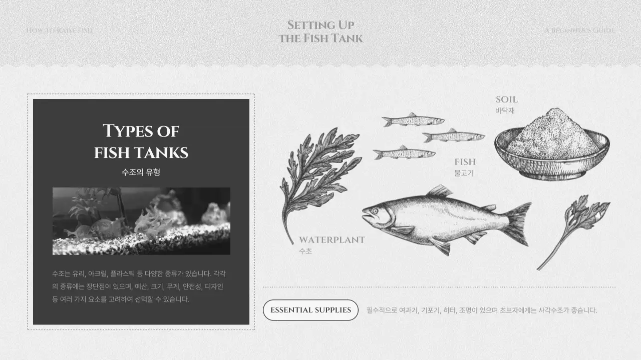 검정색과 회색의 물고기 기르기 교육