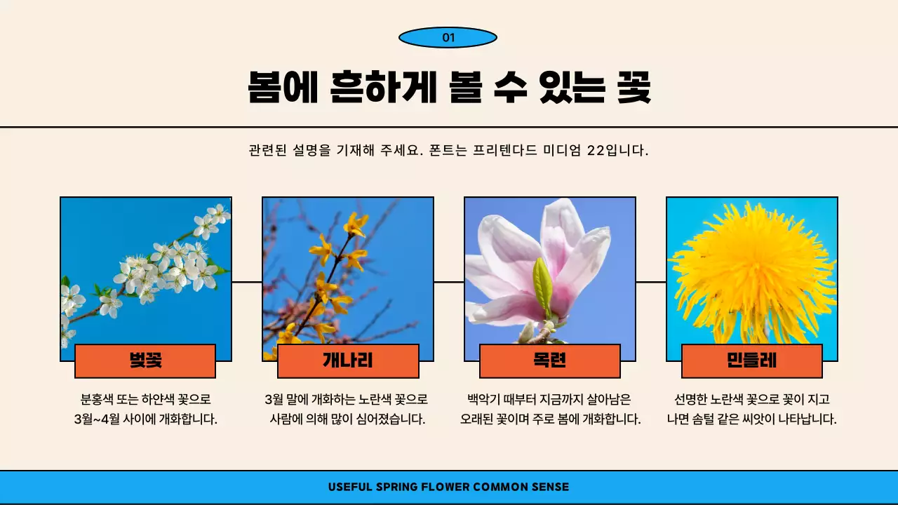 아이보리 오렌지 색상의 일러스트 컨셉의 귀여운 봄 꽃 교양 강의용