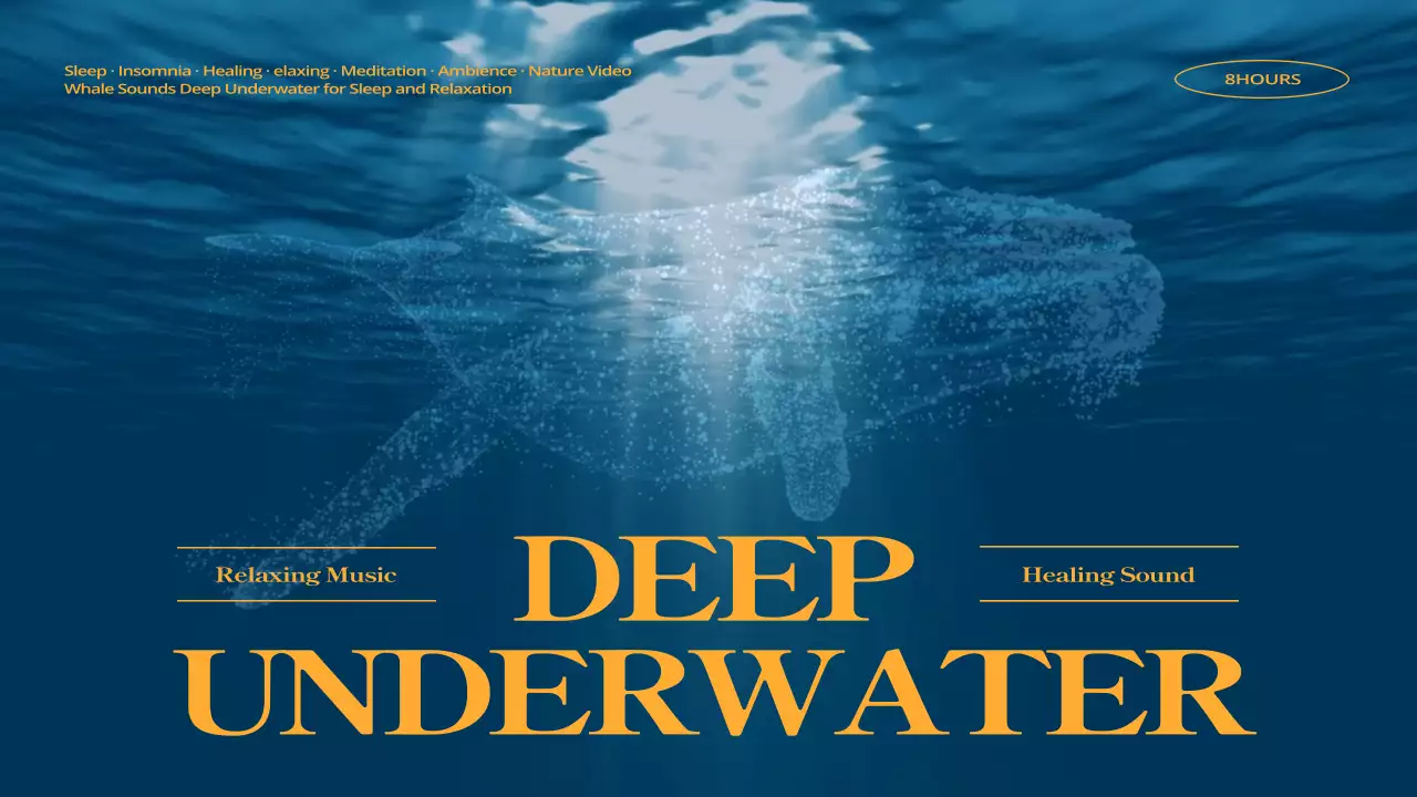 파란색과 노란색의 바닷속 고래 이미지 수면 플레이리스트 