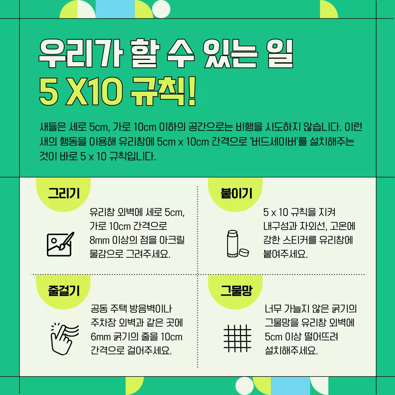 초록색과 기하학적인 야생조류 유리창 충돌 방지 정보 제공 (카드뉴스)