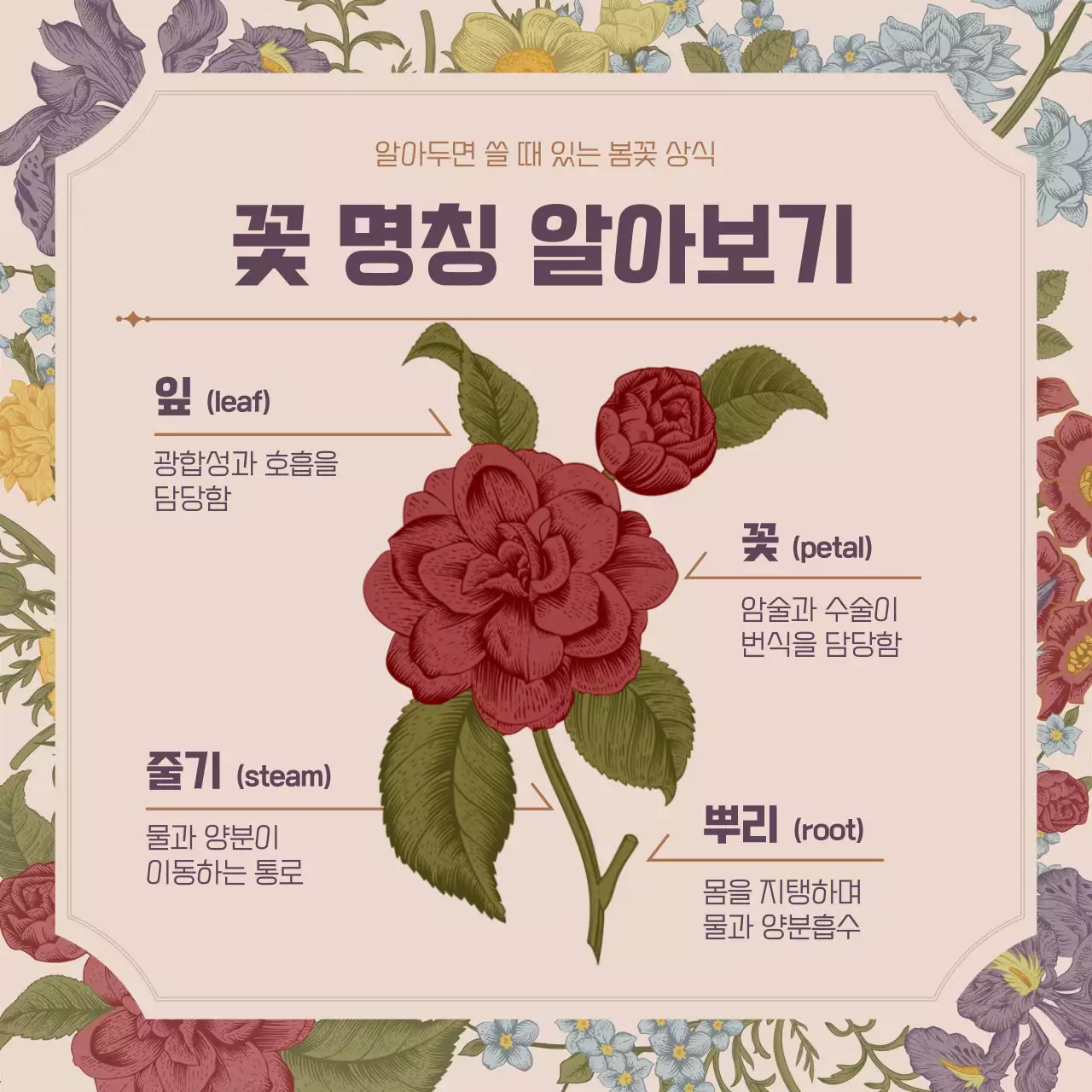 핑크 빈티지 꽃가득 컨셉의 봄꽃 상식