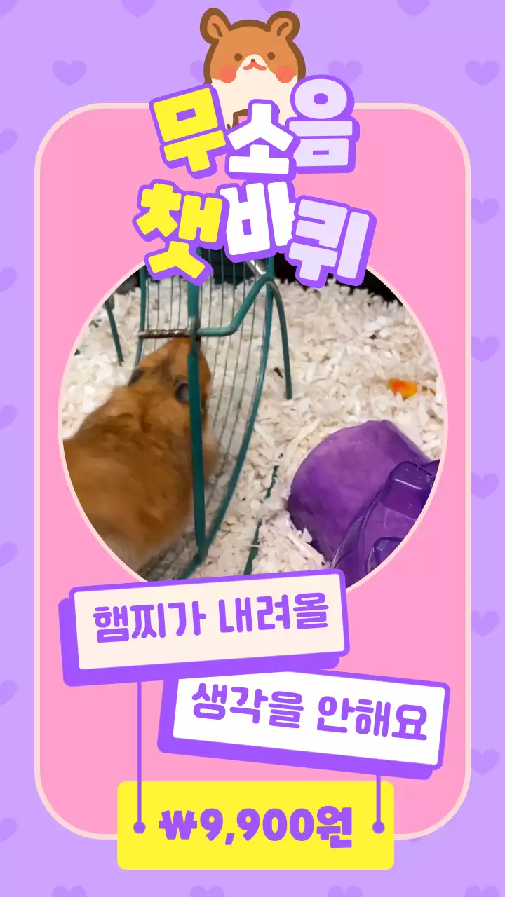 보라색의 귀여운 햄스터 상품 홍보 광고