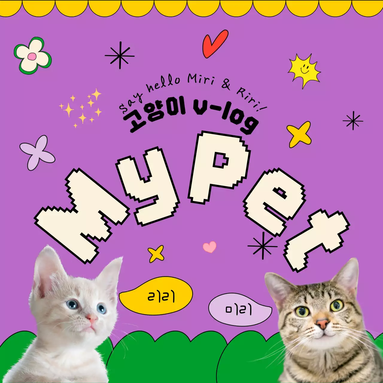 분홍색과 파란색의 귀여운 펫 고양이 브이로그 