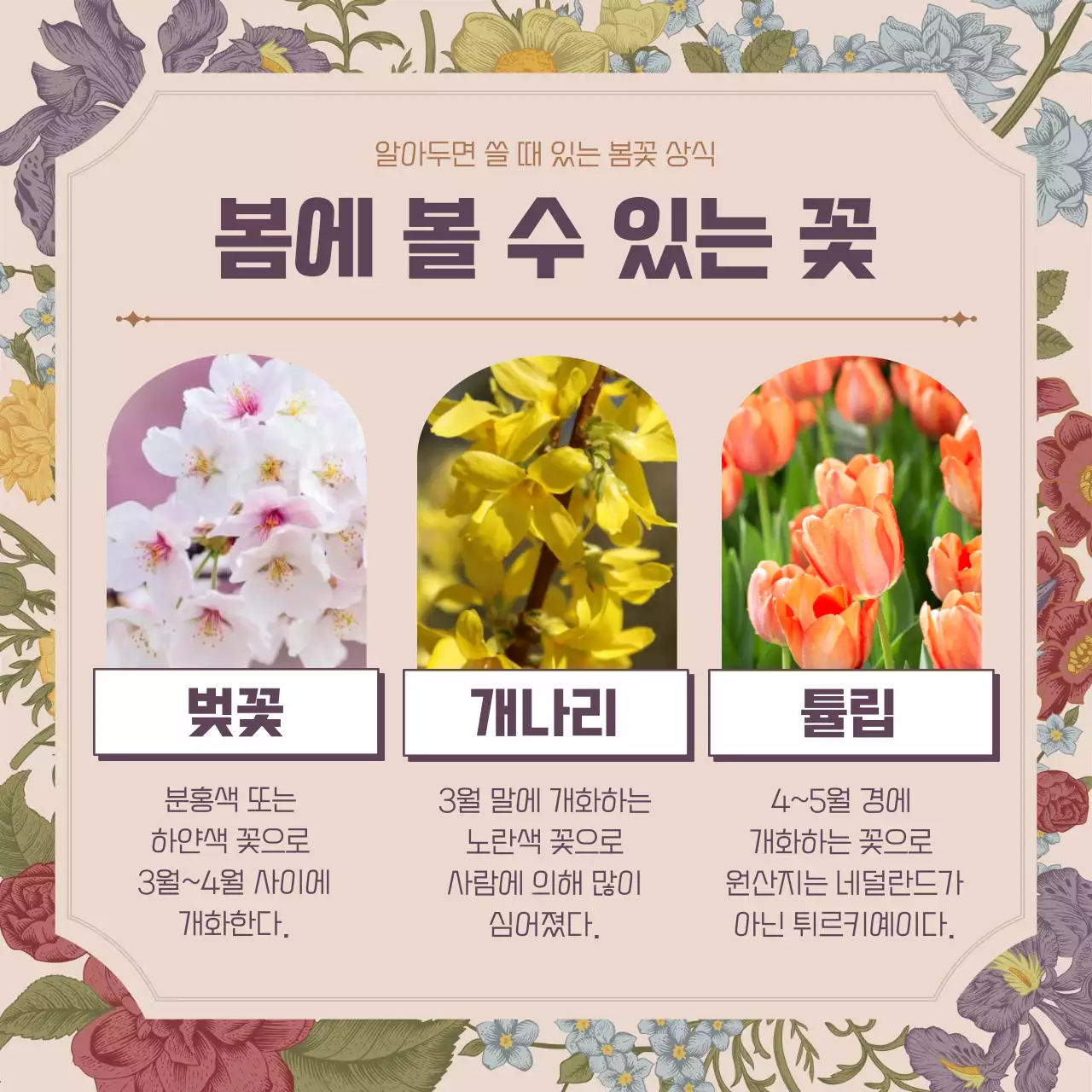 핑크 빈티지 꽃가득 컨셉의 봄꽃 상식