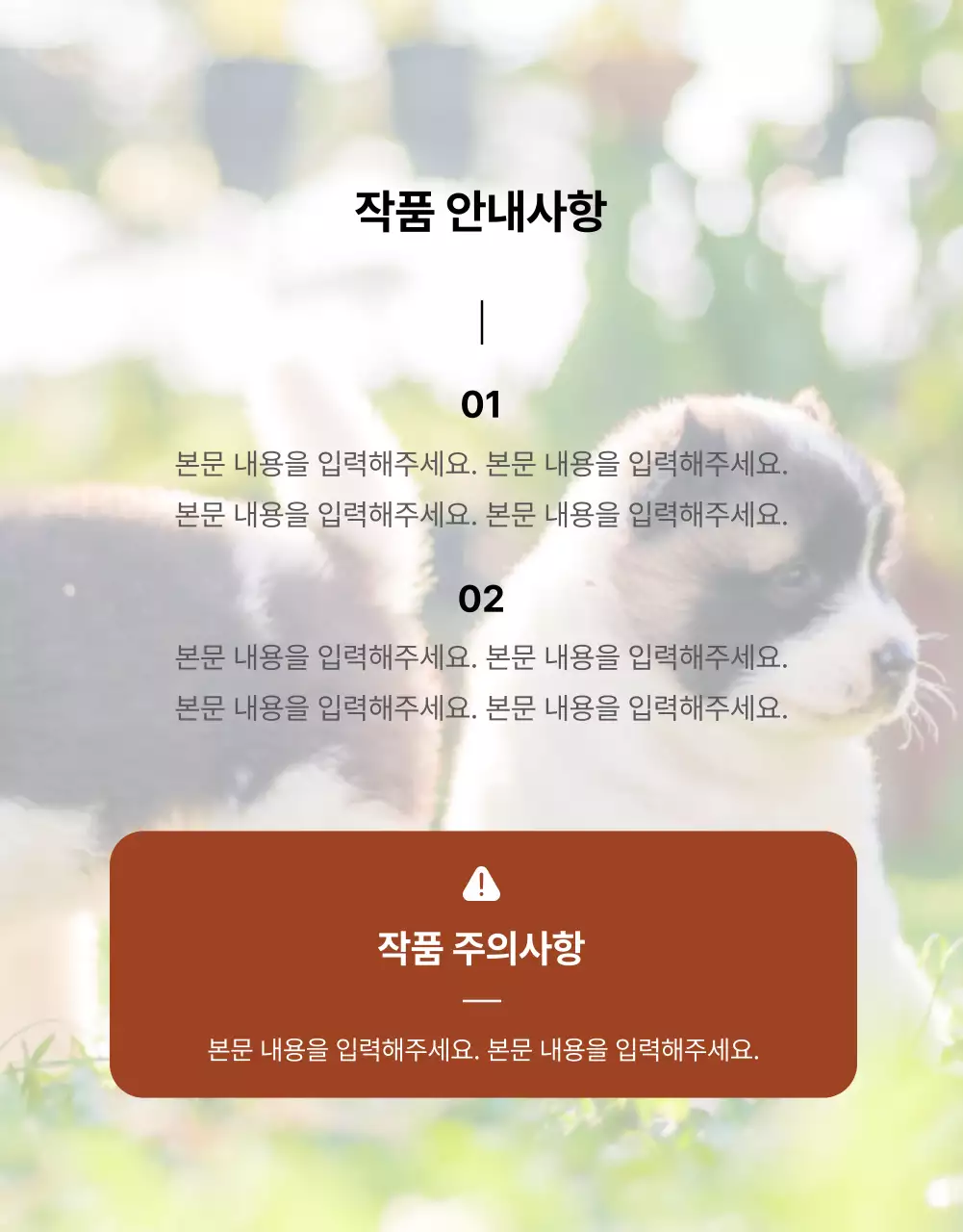 아이디어스_애견