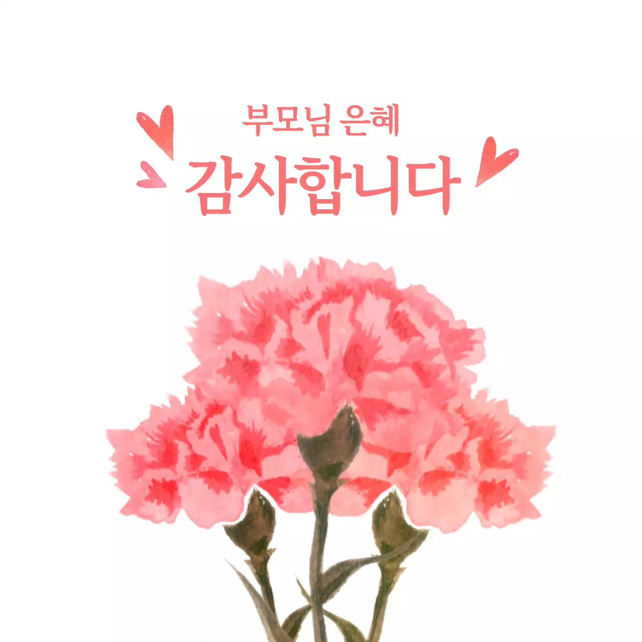 분홍색 카네이션과 감사 인사