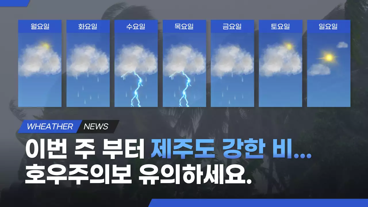 파란색 제주도 호우주의보 날씨 뉴스