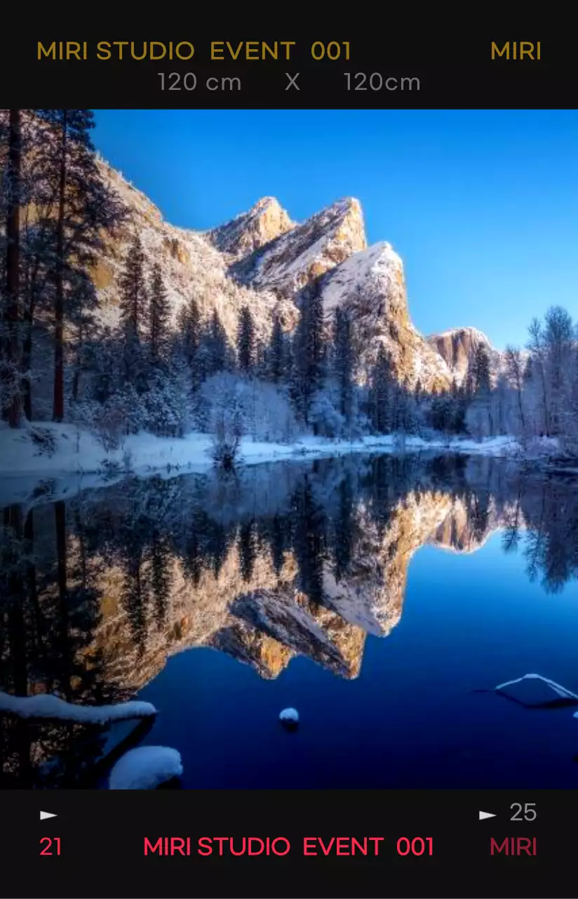 대비가 강한 컬러감의 감성적이고 힙한 사진 필름 프레임 컨셉 개인 굿즈용 